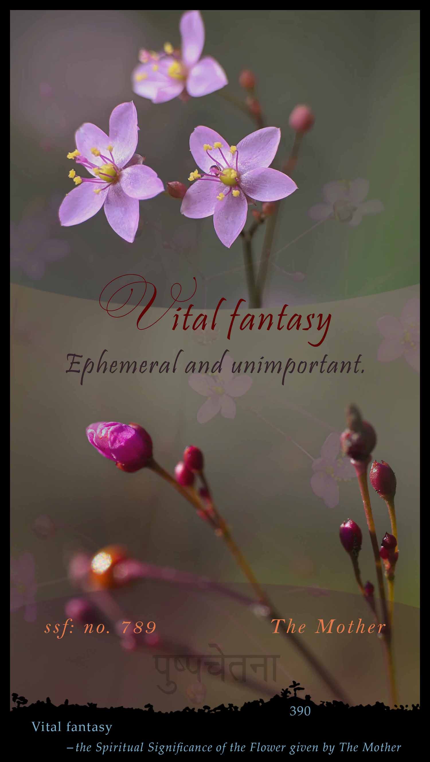 Vital Fantasy